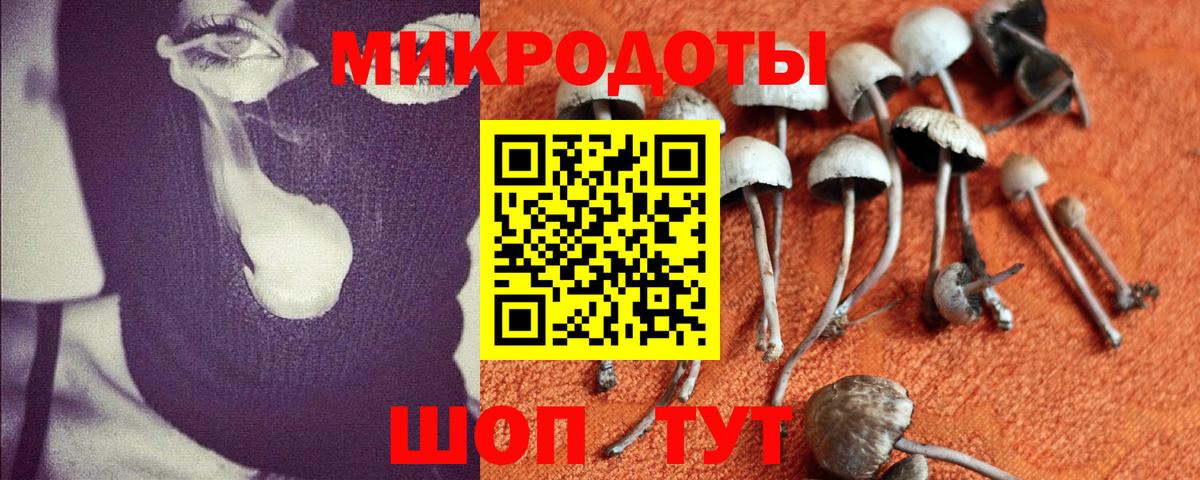 Вязьма  Галлюциногенные грибы мицелий  как найти закладки  Вход с VPN 